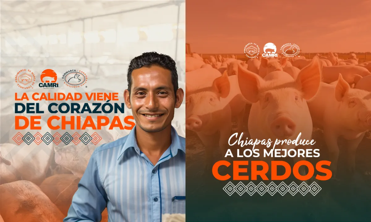 Proyecto 7 del portafolio de Agencia Cuatro